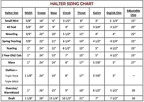 Leather Halter for Horses with Customized Engraved Name Plate Option Halter for Horse | Brown/Brass, Padded Halter (Blue or Green) Black/Brass, Black/Chrome Options