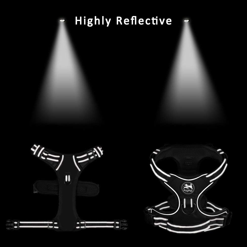 PoyPet No Pull Dog Harness, Reflective Comfortable Vest Harness with Front & Back 2 Leash Attachments and Easy Control Handle Adjustable Soft Padded Pet Vest for Small Medium Large Dogs (Mint Blue,M)