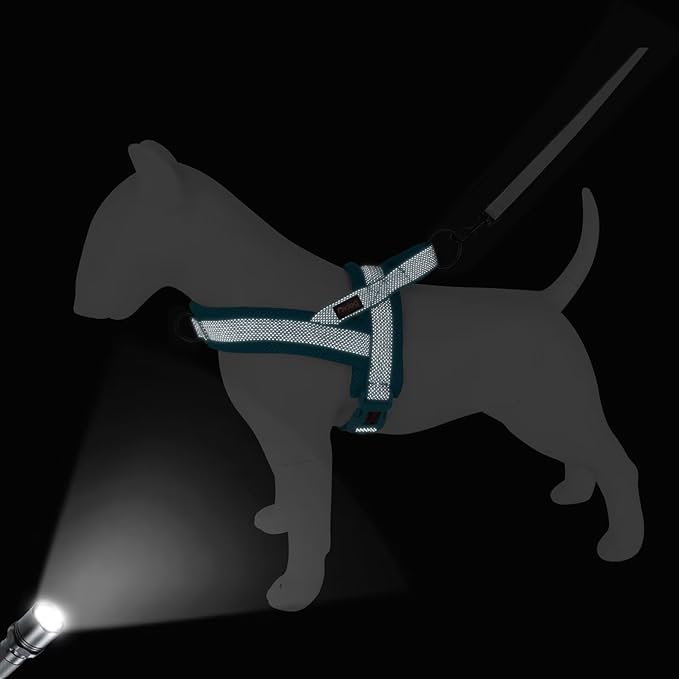 Didog No Pull Dog Harness with Breathable Mesh Padded, Full Reflective & Quick Fit Adjustable Vest Harness, Easy for Training Walking for Small & Medium and Large Dogs (Blue, L:Chest 26-32")