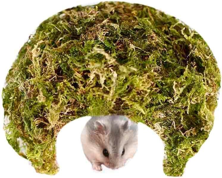 Coconut Hamster Hideout Hamster House Gerbil Cage for Small Animals with a Bundle of Apple Sticks a Carrot (Green)