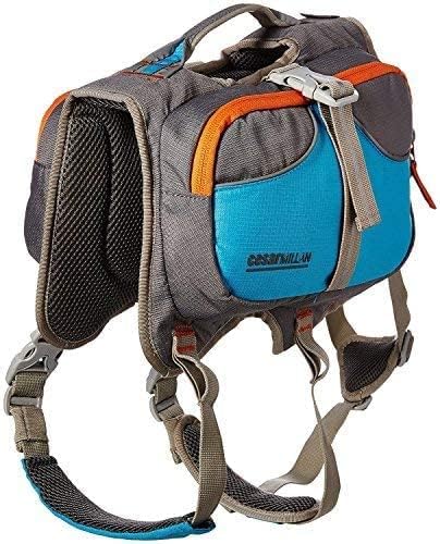 Cesar Millan Dog Backpack Large Blue