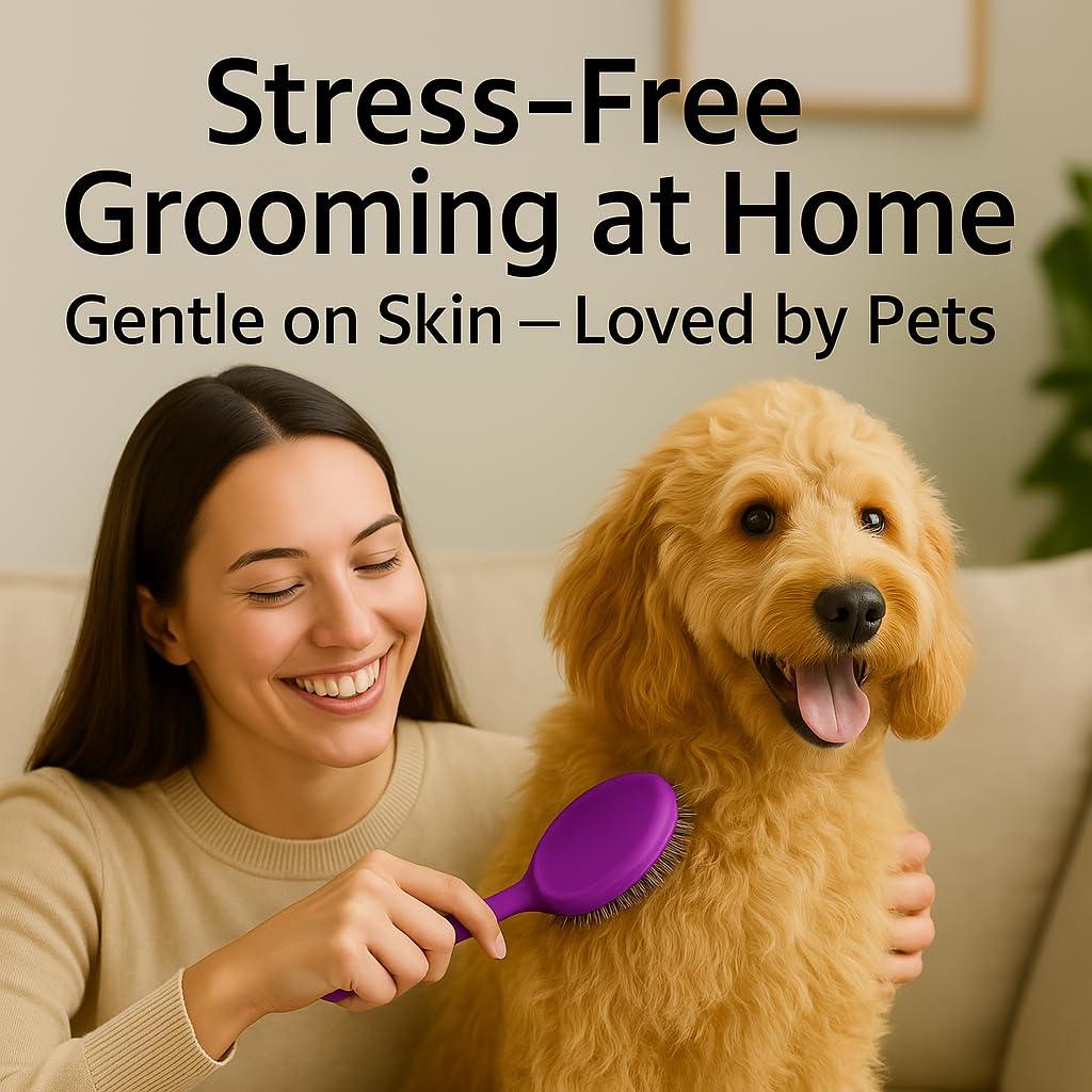 Round Bristle Pet Brush for Dogs and Cats - Soft Dog Brush for Grooming Short or Long Hair - Gentle Tool for Sensitive Skin Removes Dander, Dirt, and Detangles (Purple)