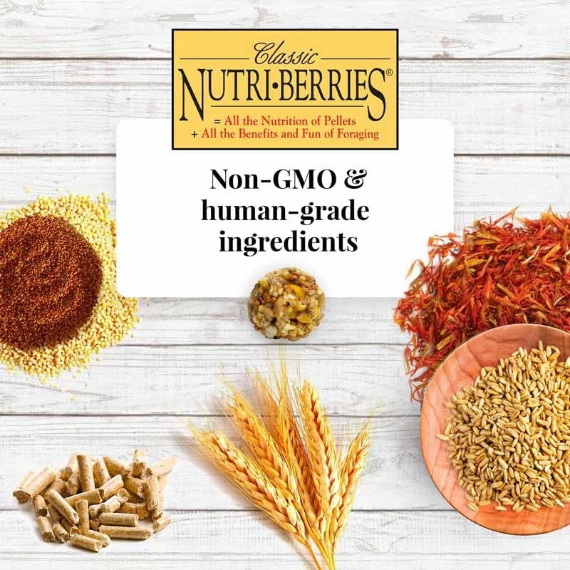 LAFEBER'S Classic Nutri-Berries Pet Bird Food, Made with Non-GMO and Human-Grade Ingredients, for Macaws and Cockatoos (10 oz Pack of 2)