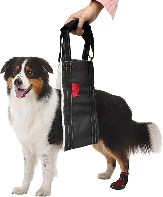 Leather Dog Lift Harness,Sling for Large Dogs Hind Leg Support,Support Harness for Back Legs,Dog Rear Lift Harness Assist for Senior,Injured,Post ACL,TPLO Surgery Recovery Essentials,Mobility aids L
