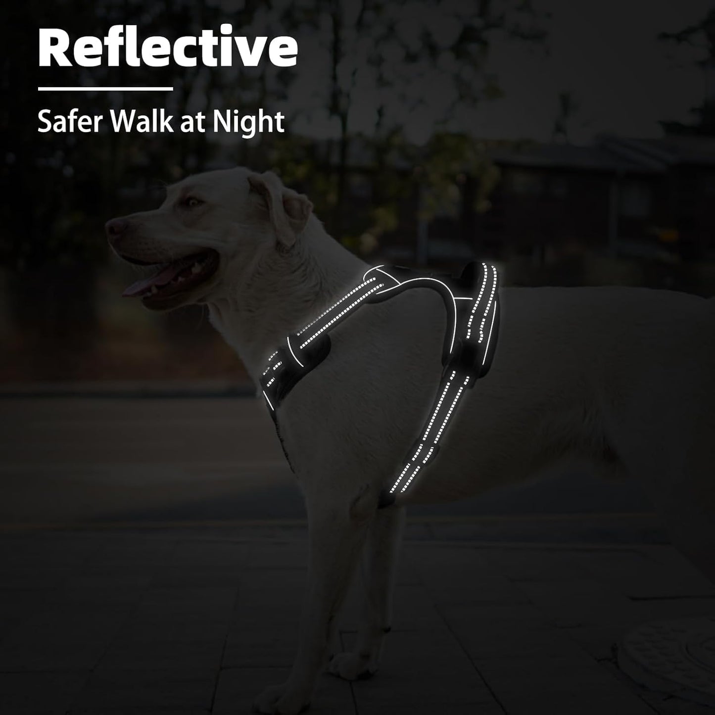 PUPTECK No Pull Dog Harness Medium Sized, Adjustable Reflective Dog Harness with Handle Easy Control, Comfortable Soft Padded Pet Vest Harness for Medium Dogs, Black M