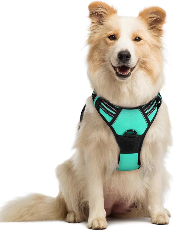 rabbitgoo Dog Harness No Pull with 2 Leash Clips, Adjustable Soft Padded, Reflective Oxford No Choke Pet Vest with Easy Control Handle for Medium Sized Dogs, Turquoise, M