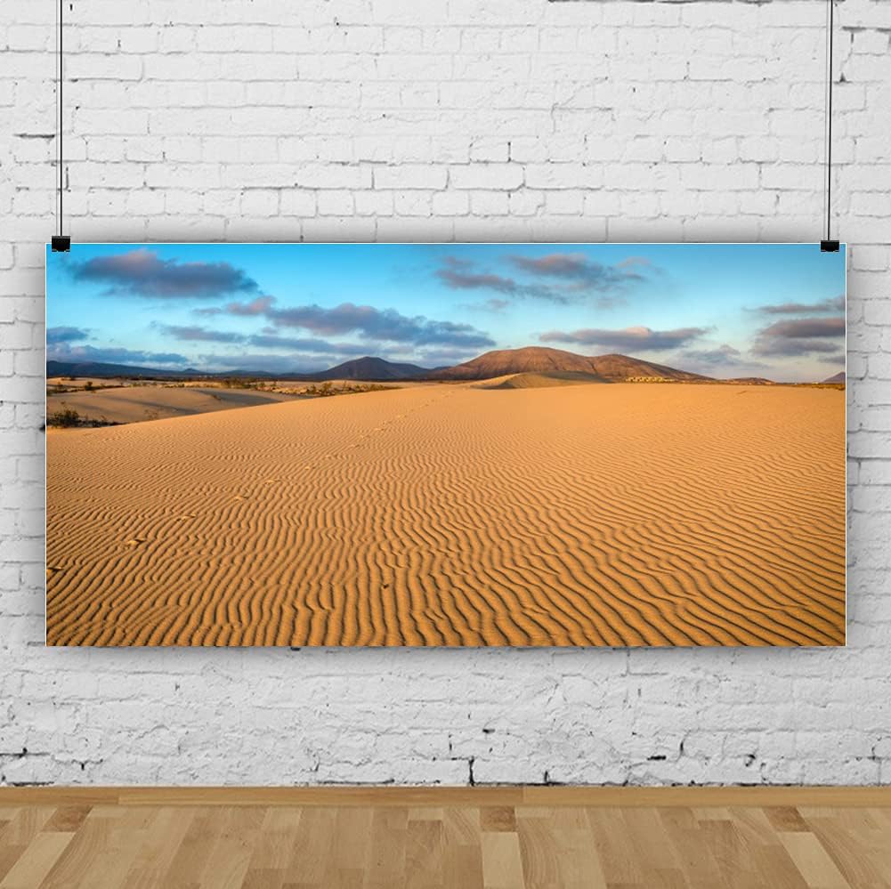 Renaiss 12x6ft Desert Photography Backdrop Golden Ripple Desert Mountain Sand Dunes Blue Sky Gobi Scenery Background Nature Landscape Backgrounds Wilderness Photo Video Shoot Studio Props