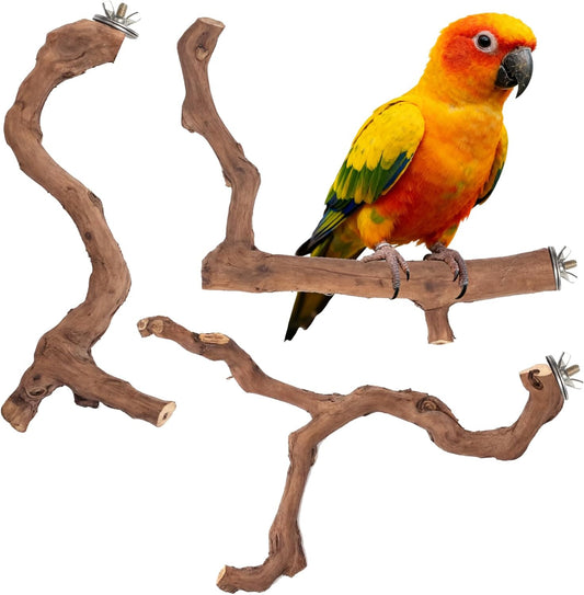 3-Piece Premium Bird Perch Stand with Natural Grape Wood Branch, Paw Grinding Fork, Chewing Stick, Cage Accessories for Parakeets, Budgies, Cockatiels, Finches, Lovebirds