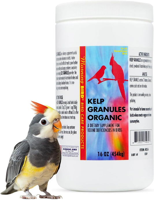 Morning Bird Kelp Granules 16 Oz – Iodine Supplement for Birds – Supports Feather Growth, Molting & Metabolism – Rich in Amino Acids, Trace Minerals & Natural Vitamins – Clean Nutrition for All Birds