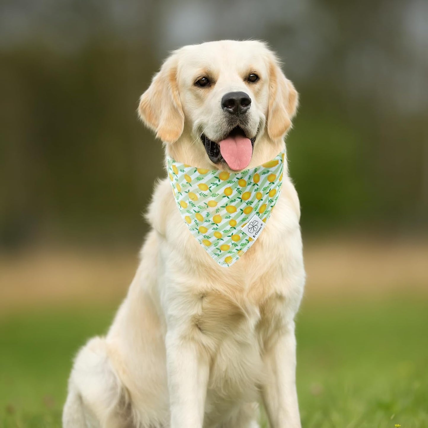 E-Clover Summer Lemon Dog Bandanas & Matching Scrunchie Set Green Stripe Dog Scarf Bibs Pet Bandana with Bow Tie for Small Dogs Puppy Owner Mom