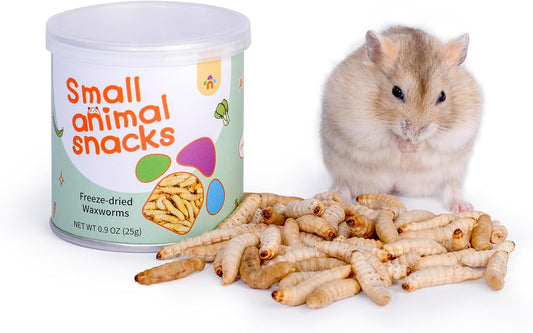 Niteangel Small Animal Snack & Treats - Small Critter Natural Treat for Dwarf Syrian Hamsters Gerbils Mice Sugar Glider Hedgehogs Chickens Birds (Freeze-Dried Worms- 0.9oz (25g))