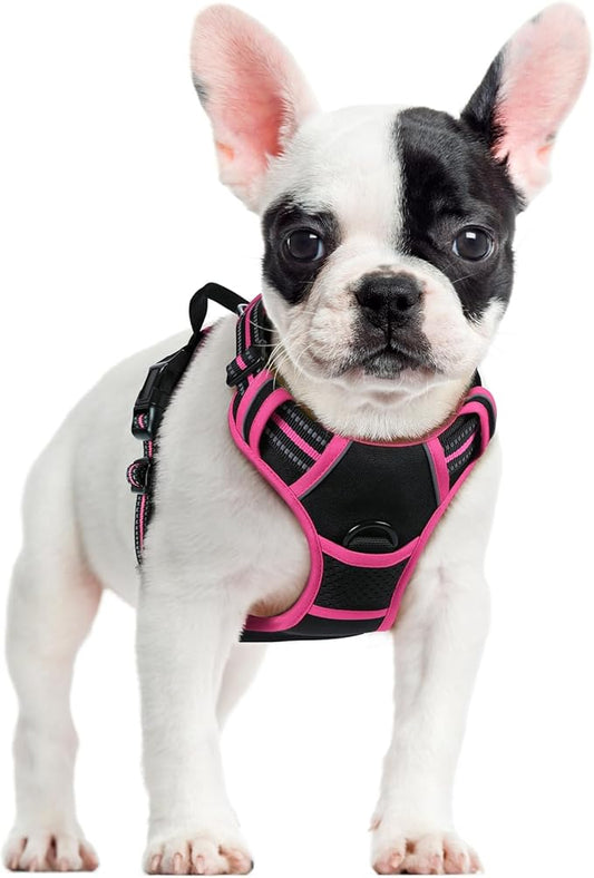 rabbitgoo Dog Harness No Pull with 2 Leash Clips, Adjustable Soft Padded, Reflective Oxford No Choke Pet Vest with Easy Control Handle for Large Dogs, Black & Hot Pink, S