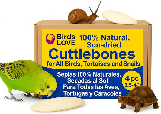 Birds LOVE 4-Piece Cuttlebone 3.5–4-Inch with Holder – Natural Calcium & Trace Mineral Block for Birds & Reptiles – Beak-Trimming Chew Supplement – Safe, 100% Pure, No Fillers