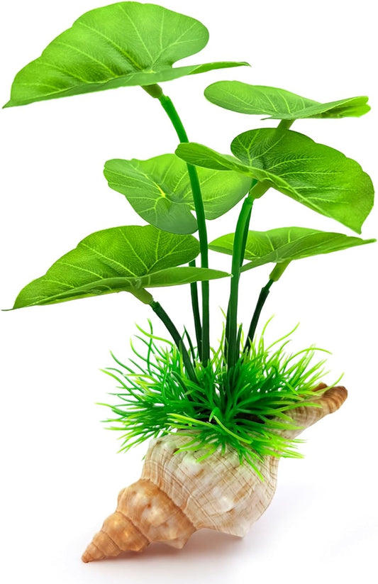 7-in Aquarium Decor Silk Plants for Fish Tank Decorations Betta Hammock - Artificial Aquarium Plants Plastic Realistic - Betta Fish Tank Accessories, Fish Hide, Goldfish Decor Natural Conch Shells