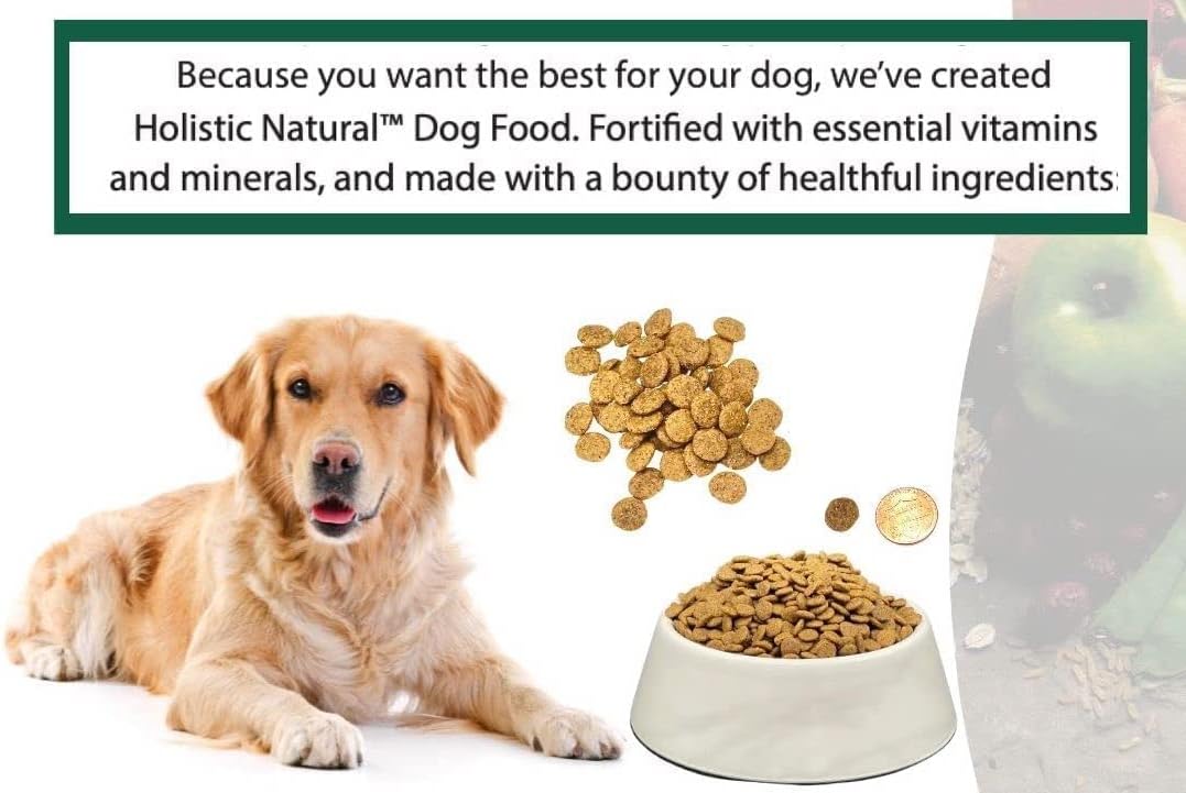 Bench & Field Holistic Natural Adult Dry Dog Food, Chicken Meal and Brown Rice Recipe 6.6 lb Bags (Pack of 4)