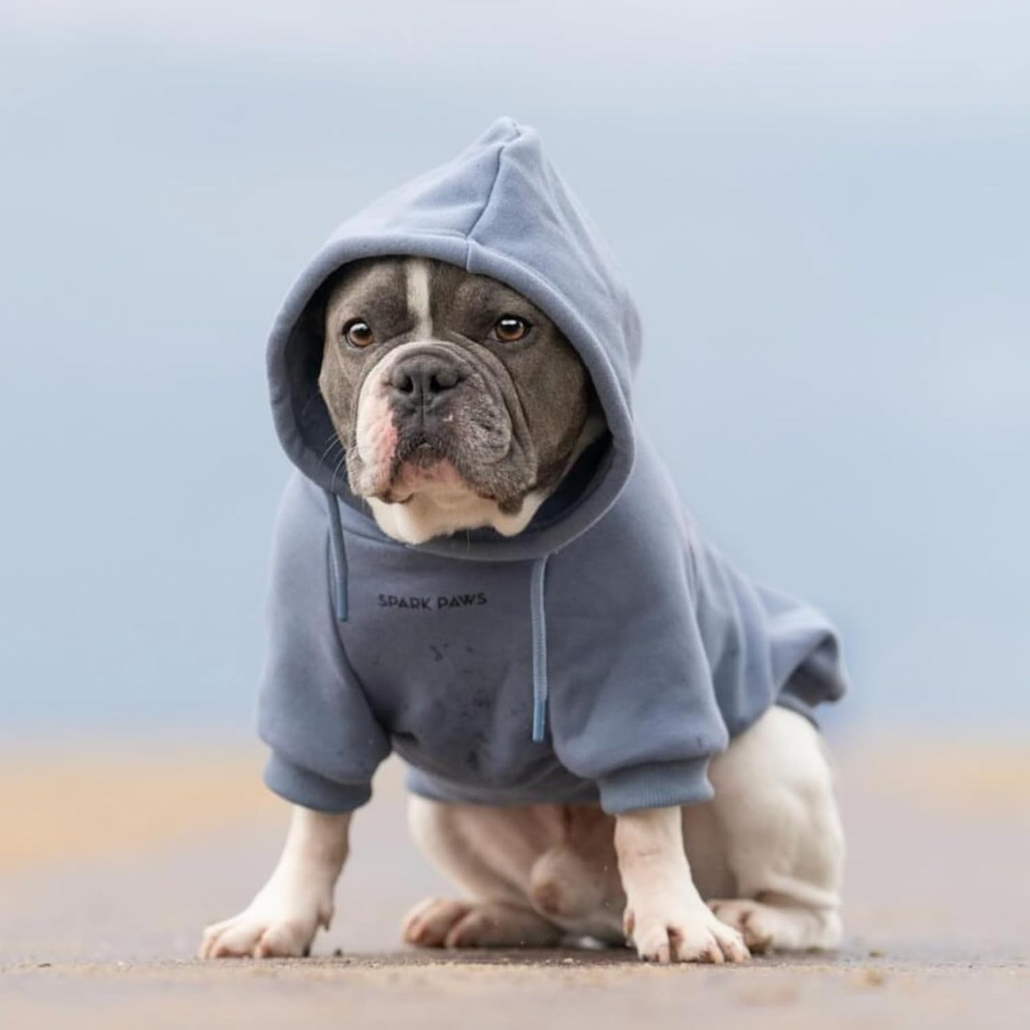 Spark Paws Dog Hoodie – Premium Dog Sweater for Small, Medium, and Large Dogs | Warm Outfits for French Bulldogs, Pitbull, Puppy, Winter Jacket Alternative - Slate Blue - 4XL