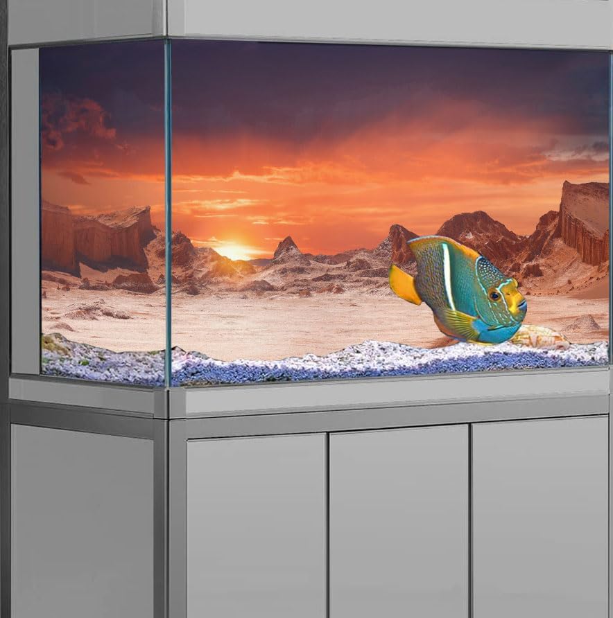 48X18IN Sun and Desert Moon Themed Reptile Habitat on Orange Durable Decorative Background, Terrarium Background with 10EVA Double-Sided Tape