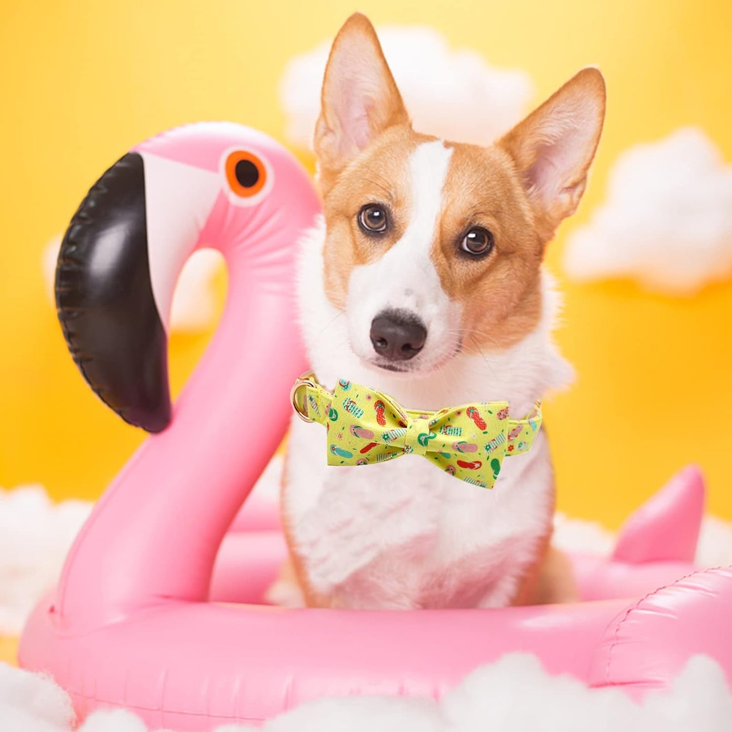 Elegant Little Tail's Cute Bowtie Dog Collar with Bow for X-Small Puppy and Cat