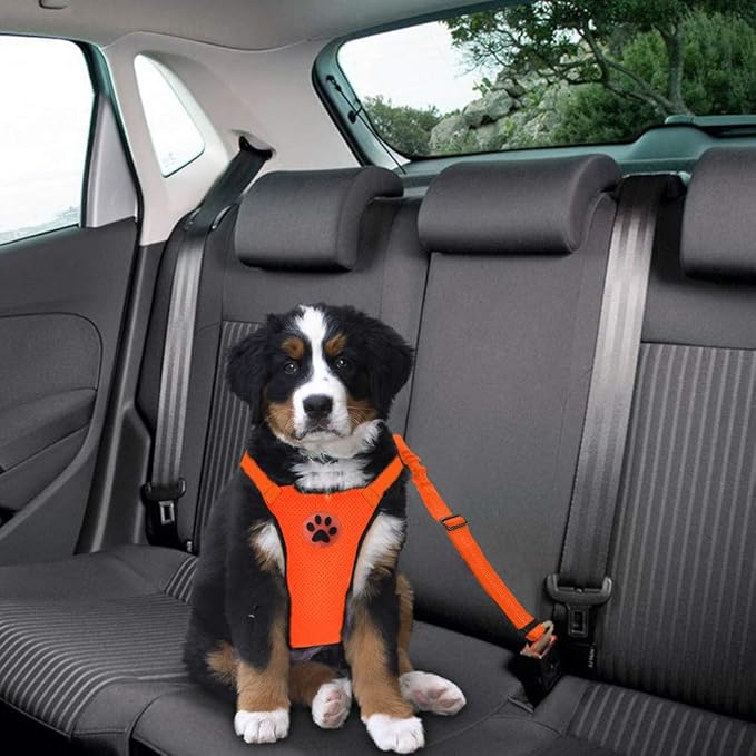 Lukovee Dog Seat Belt - Adjustable Dog Car Harness for Large, Medium & Small Dogs, Soft Padded & Breathable Mesh Dog Seatbelt with Vehicle Connector Strap (Orange, X-Small)