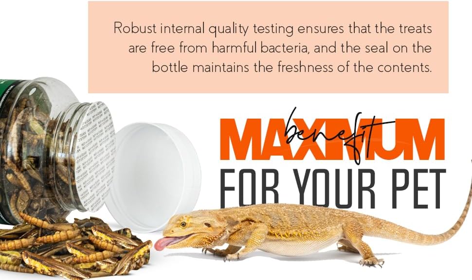 Medley Treat Bearded Dragon Food - Freeze Dried Mealworms, Grasshoppers, Crickets, Quality Tested, Vitamin & Calcium Enriched, Essential Proteins, Fats & Minerals - For Bearded Dragons, Reptiles 2.5oz