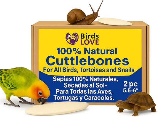 Birds LOVE Natural Cuttlebone | 100% Pure Sun-Dried Calcium Supplement for Birds, Tortoises, Snails & Crabs | Supports Beak & Shell Health | Easy to Chew | 2 Pack, Size 5.5 to 6"