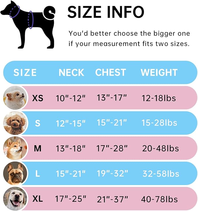 IVY&LANE No Pull Dog Harness with Leash Set, Reflective No Choke Pet Vest,Adjustable Oxford Dog Vest Harness with Easy Control Handle for Medium Lagre Dogs (Checkered Blue,M)