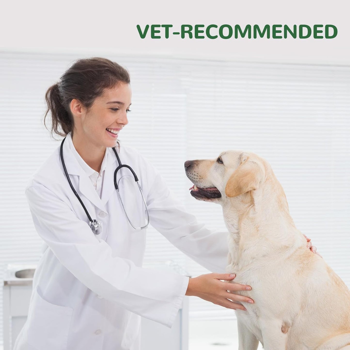 Dog Allergy Relief Chews, Dog Itch Relief Chews for Large Dogs Paw Licking Itchy Skin Seasonal Allergies, Probiotics with Astragalus Omega-3 for Coat Immune Supplement-150ct