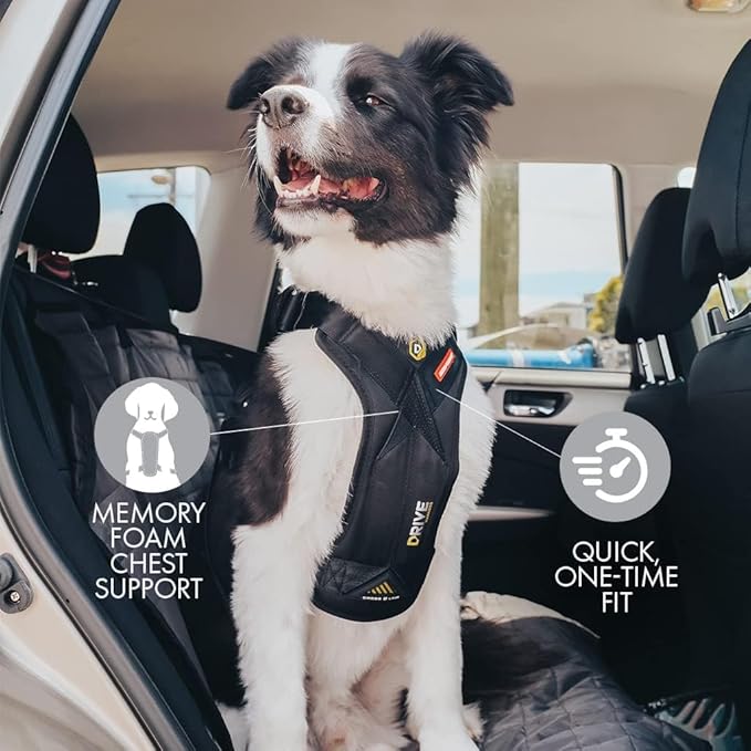 Ezydog Drive Dog Car Harness – Crash Tested and Certified (US-FMVSS 213) Dog Seat Belt Harness for Safe Travel, Adjustable with Padded Comfort (Medium)