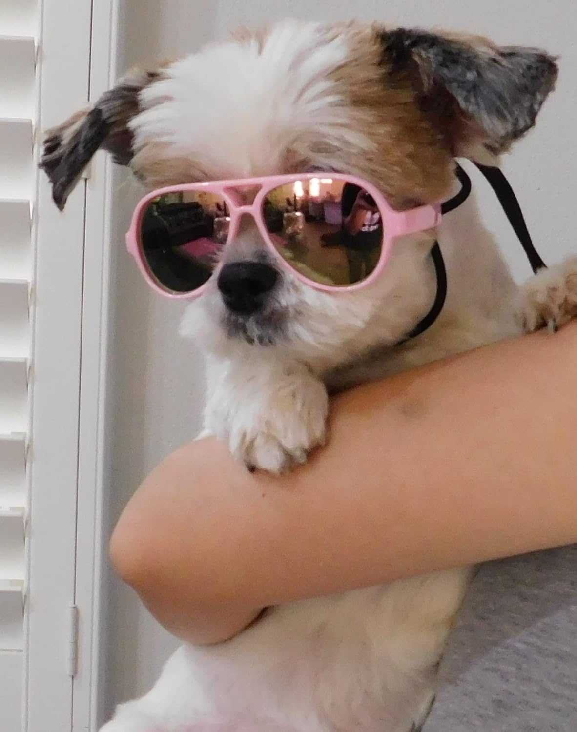 G029 Dog Cat Pet Aviator Pilot Sunglasses Glasses for Small Breeds up to 15lbs (2-Pack Black + Pink-Pink Mirror)