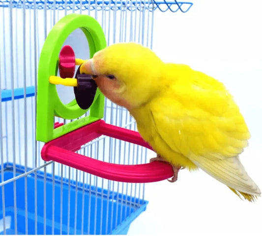 Bird Mirror for Cage, Bird Mirror Toy with Paddle Wheels and Perch, Bird Hanging Training Toys for Cage, Parrot Foraging Toys, Bird Interactive Intelligence Toy Random Color(Paddle Wheels)