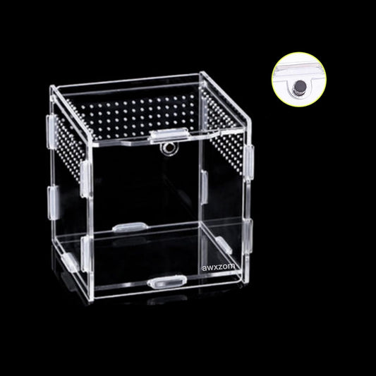 Magnetic Acrylic Case, micro habitat small Tarantula Enclosure enclosure for arboreal Tarantula Scorpion Sling Lizards Mantis Snake Gecko jumping spider snail Insect Isopods (3.5*3.5*3.7inch)