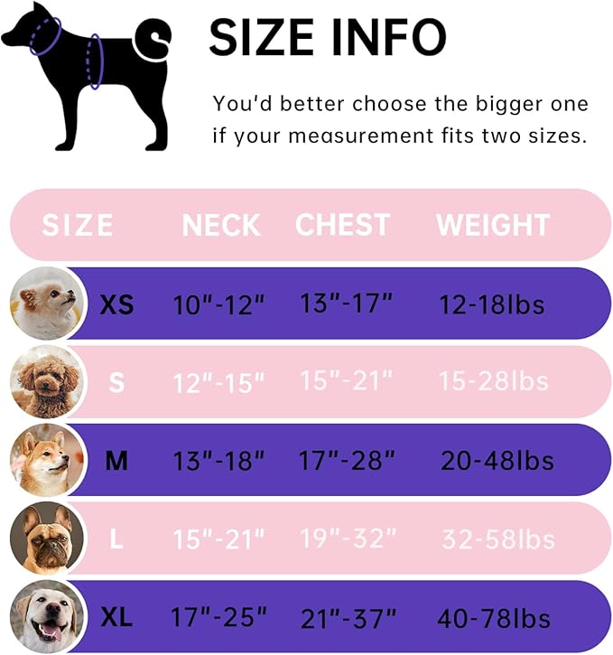 IVY&LANE No Pull Dog Harness with Leash Set, Reflective No Choke Pet Vest,Adjustable Oxford Dog Vest Harness with Easy Control Handle for Large Dogs (Checkered Pink,L)