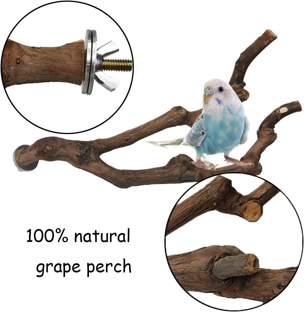 kathson Natural Parrot Perch Bird Stand Pole Wild Grape Stick Paw Grinding Fork Parakeet Climbing Standing Branches Toy Chewable Cage Accessories for Small Budgies Cockatiels Lovebirds 2PCS