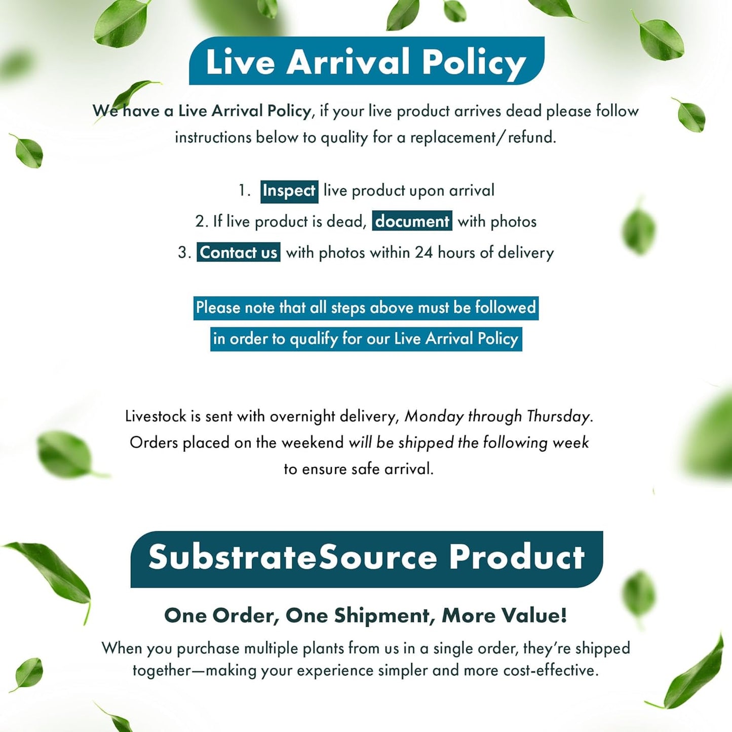 SubstrateSource Alternanthera Bettzickiana - Decorative Live Aquatic Plant for Terrariums and Paludariums - (4 Bunches)