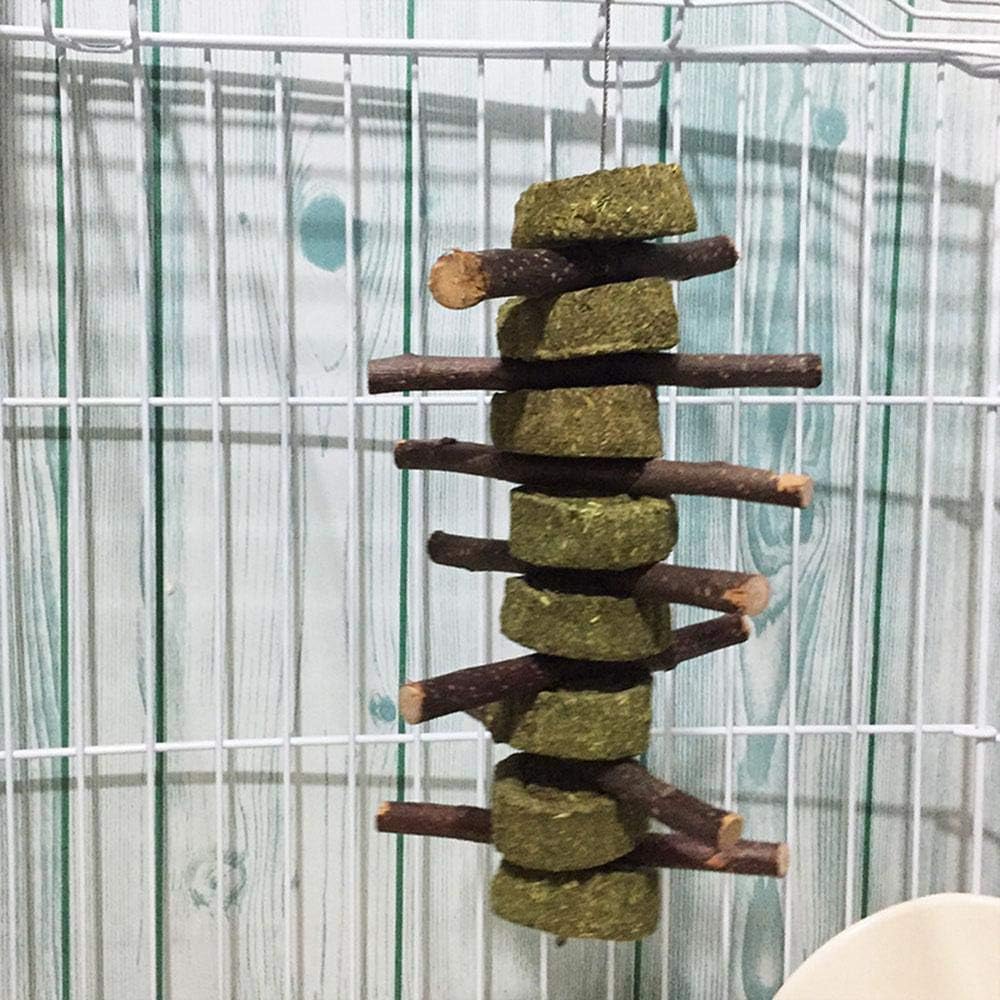 Bunny Chew Toys for Teeth, Organic Apple Wood Molar Sticks with Timothy Hay Circles for Bunny Chinchilla Guinea Pig Hamsters Holland Lop Prairie Dogs Squirrels Gerbils, Improves Dental Health