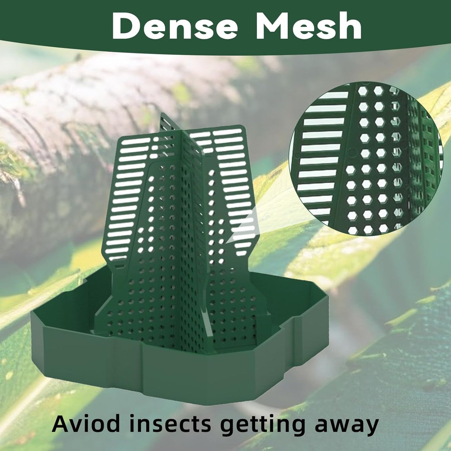 Chameleon Feeder Bearded Dragon Feeder for Mounted Insect with Rope and Tweezers, Tank and Aquarium Accessories for Lizard, Bearded Dragon, Gecko, Frog（Large）