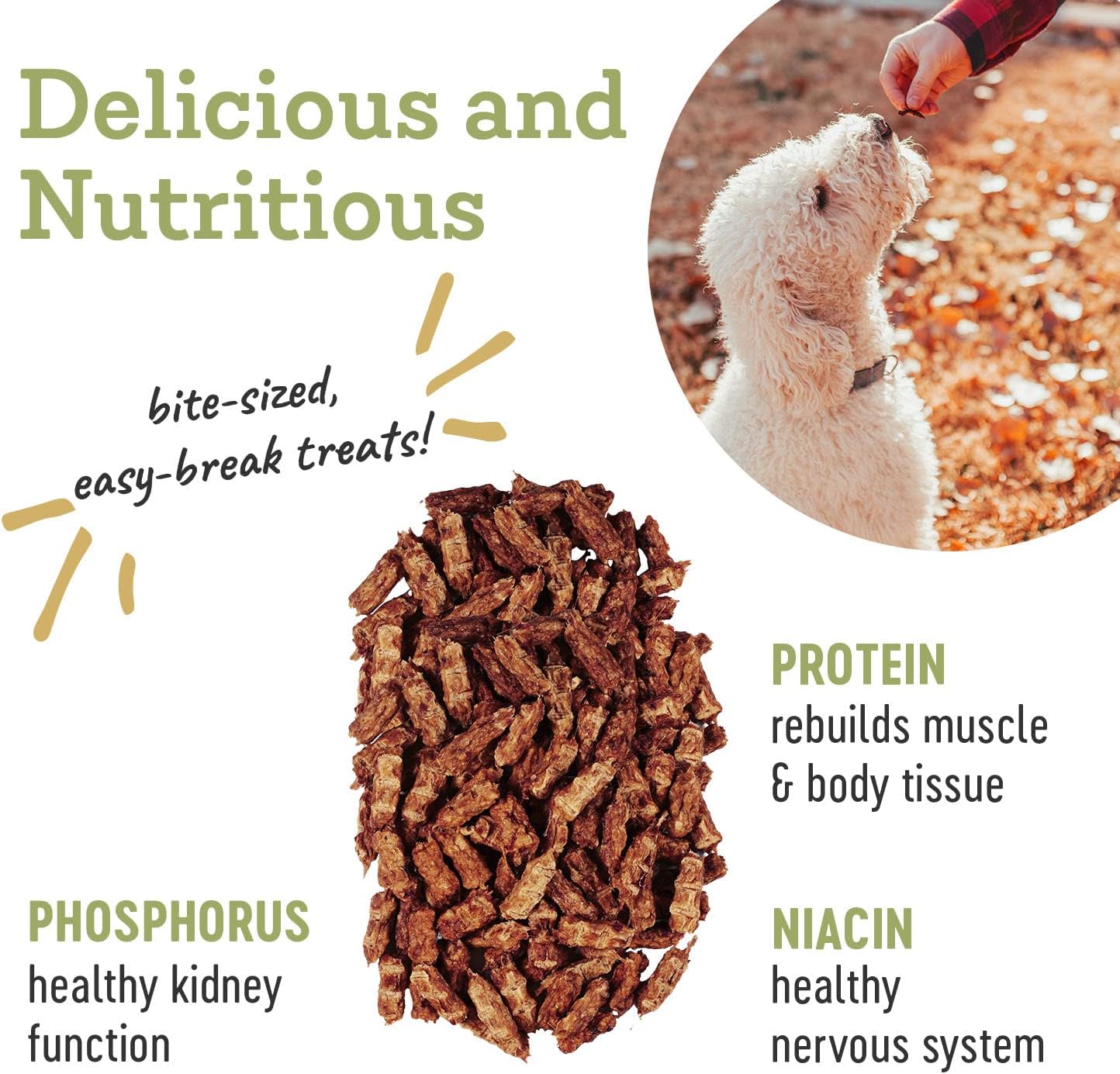 Farm Hounds - Turkey Trainers - Premium Natural Jerky for Dogs - 100% Humanely Raised Turkey - Easy-Break - Great for Training & Treats - No Added Fillers - Made in USA - 4.5 oz - 2 Pack