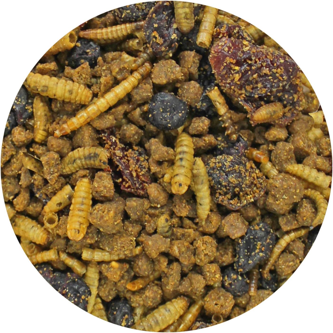 Berries & Bugs 1.5 lb - All Natural High Protein High Fiber Food for Hedgehogs, Skunks, Opossums, Sugar Gliders - Universal Insectivore Diet with Fruit, Gut-Loaded Insects, & Healthy Vitamins