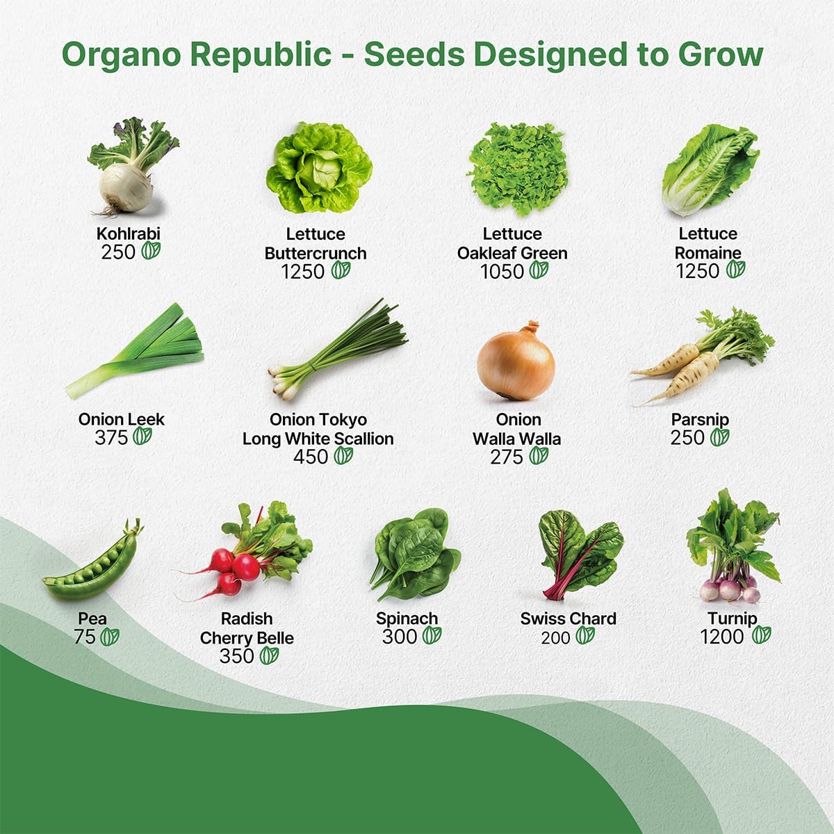 Organo Republic 25 Winter Vegetable & Green Seeds Variety Pack for Outdoors & Indoor Home Gardening 27670+ Non-GMO Heirloom Seeds: Broccoli Beet Carrot Collard Lettuce Radish Spinach Pea Kohlrabi