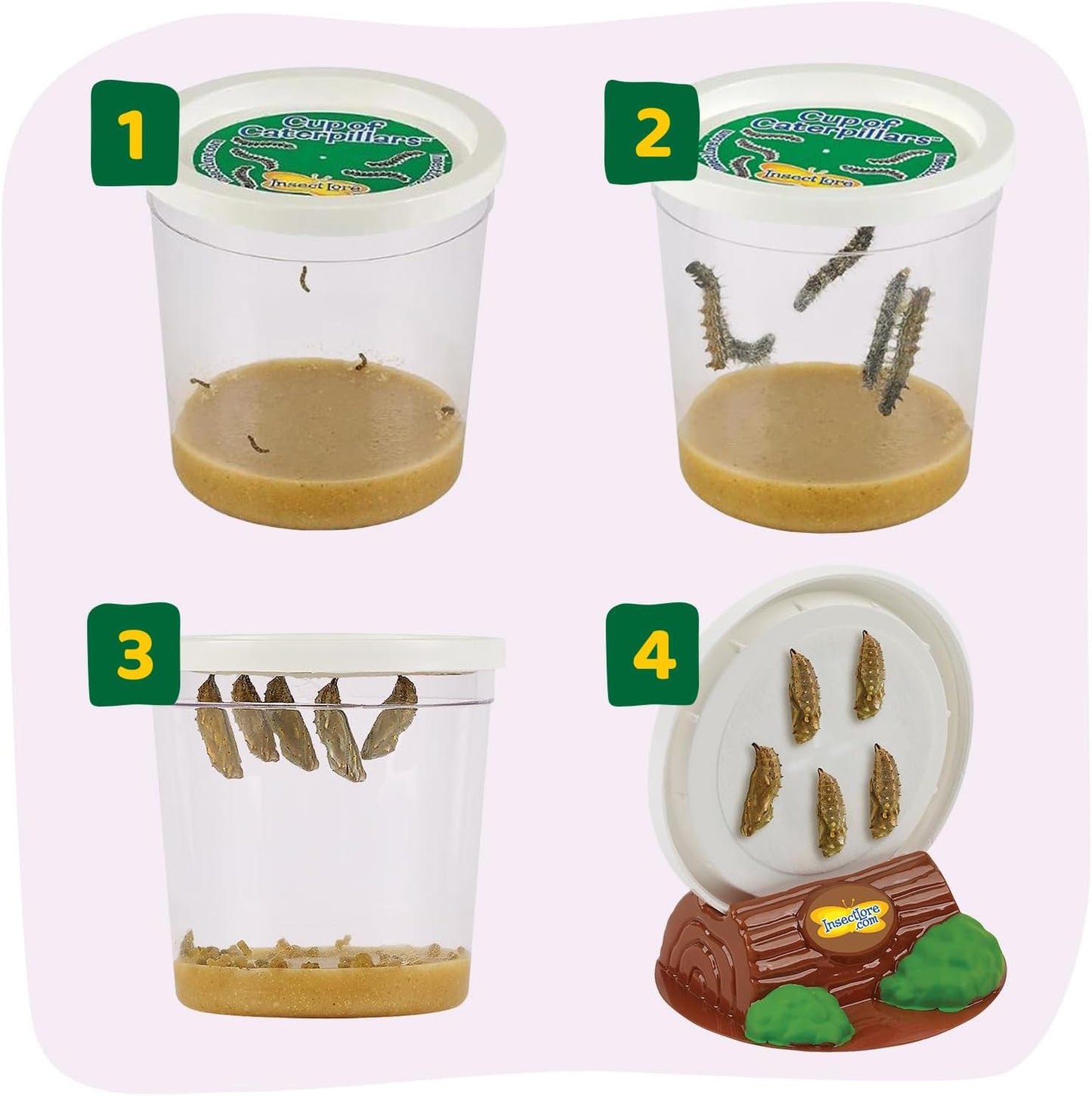 Insect Lore Butterfly Farm - Live Cup of 5 Caterpillars, Reusable Habitat, STEM Butterfly Activity Journal & Supplies - Grow, Observe and Release Painted Lady Butterflies
