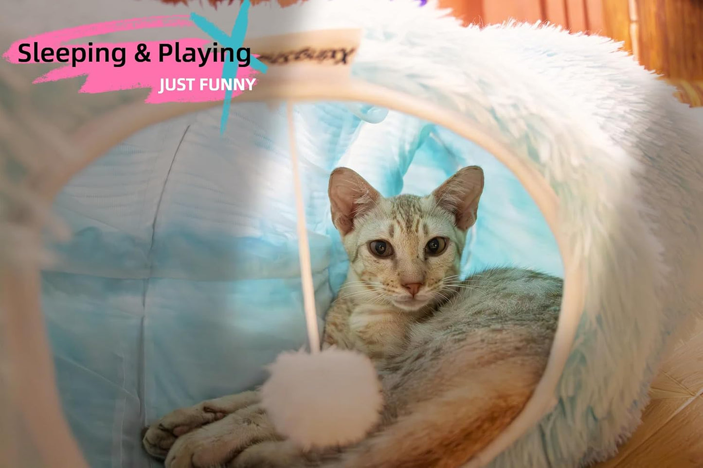 XxingSheep XL Cat Tunnel with Bed for Indoor Cats Peekaboo Cat Cave Donut Toy with Warm Mat,Azure Blue