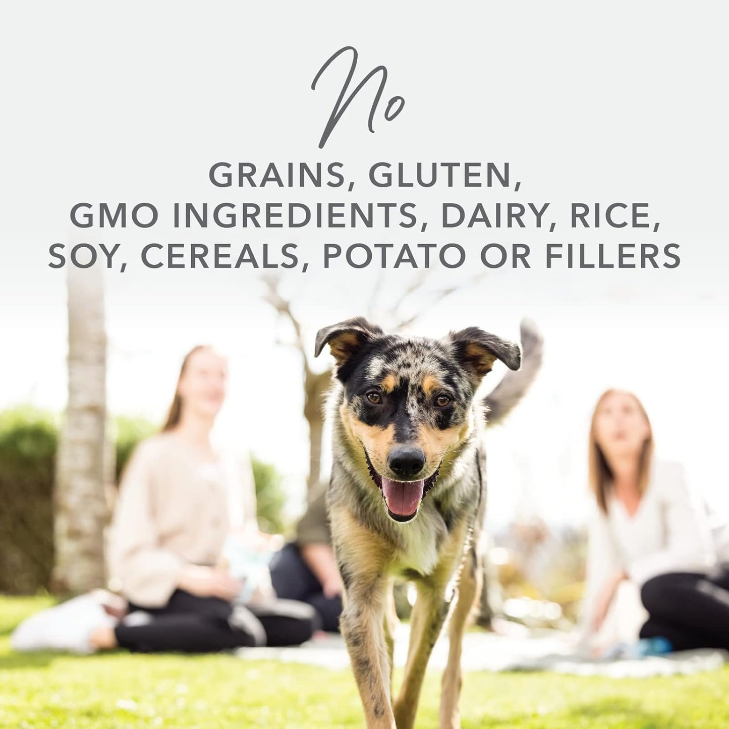 K9 Natural - Grain Free Freeze Dried Dog Food - Chicken, 4lb