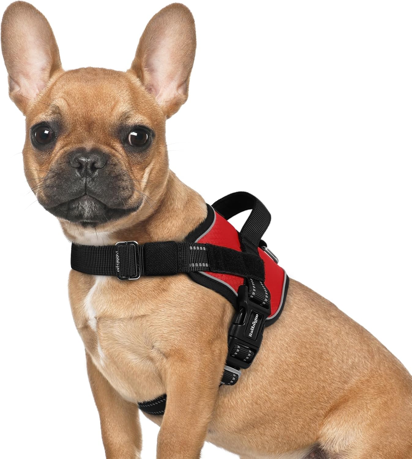 rabbitgoo Dog Harness for Small, Easy On Pet Vest with One Buckle, No Pull Adjustable Service Harness with D-Ring & Handle, Reflective for Safety Walking, Training, Red, S