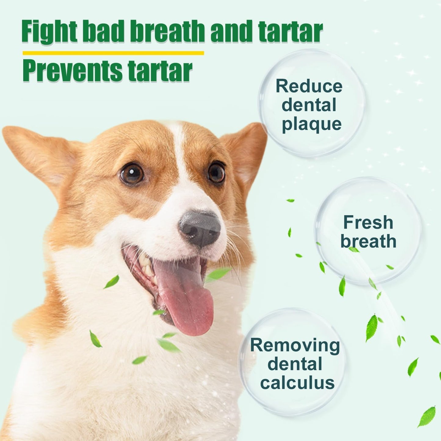 Dog Dental Powder - Dog Teeth Cleaning Powder,Pet Breath Freshener for Teeth Cleaning,Tartar Remover & Reduces Plaque & Bad Breath,Dental Care Supplies for Dogs Cat-Beef Flavor 50g