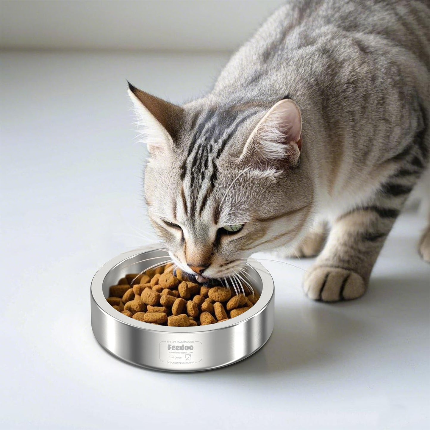 20oz Stainless Steel Cat Food & Water Bowl - Double Walled 304 Stainless Steel Non-Slip Cat Dish | BPA-Free & Dishwasher Safe for Indoor Cats