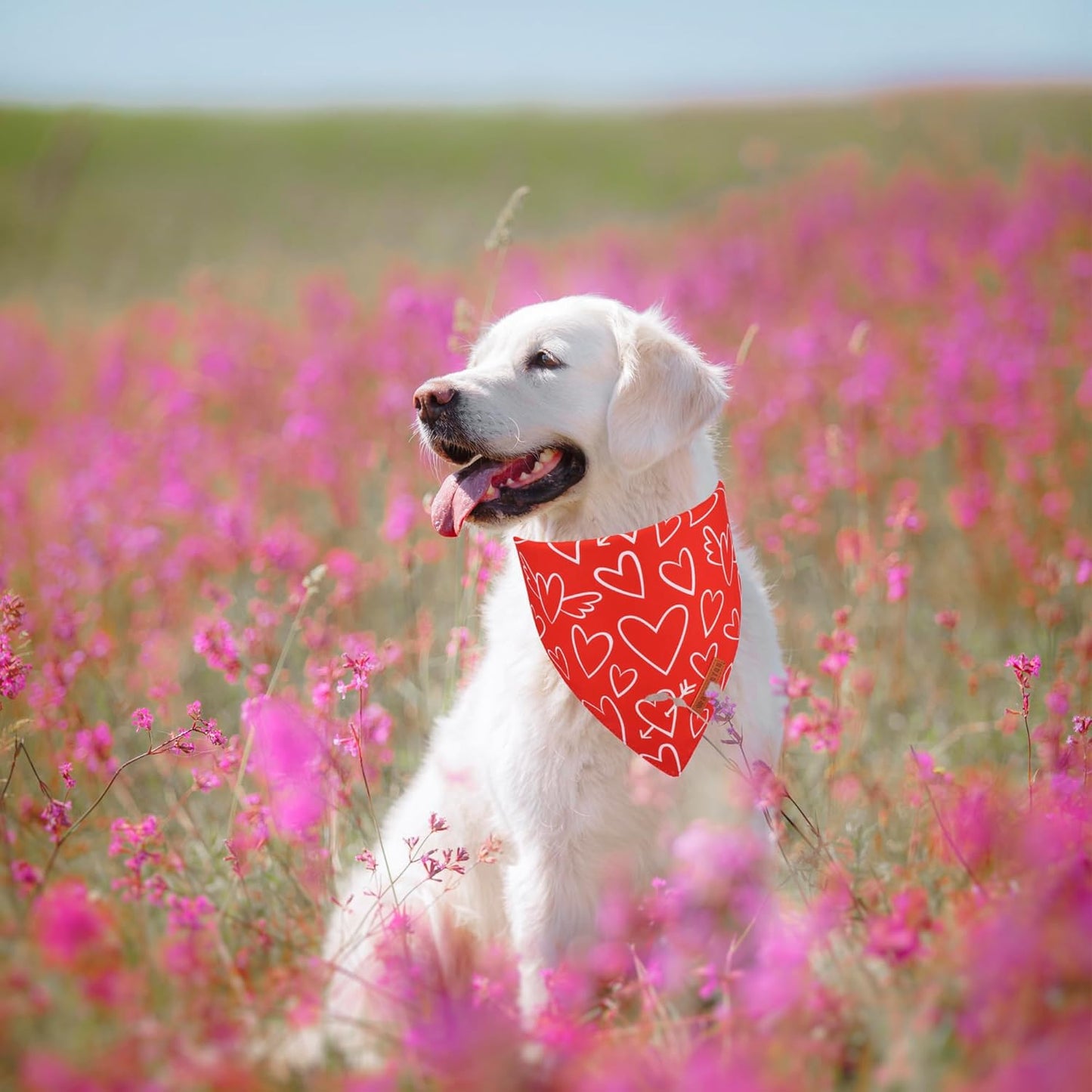 ADOGGYGO Valentine Dog Bandanas, Red Pink Heart Pet Scarf, Multi Size Offered, White Red Valentine Bandana for Large and Extra Large Dogs (X-Large)
