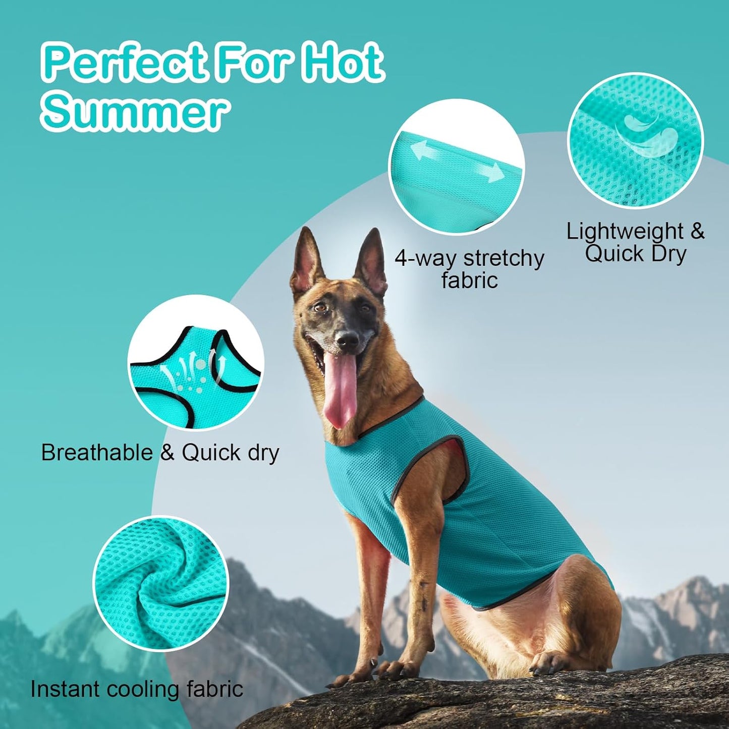 2 Pack Cooling Shirts for Dogs, Lightweight Mesh Breathable Dog Clothes for Large Breed Dogs Boy Girl,Sun-Protection Sleeveless Shirts for Dog&Cat Puppy Vest Pet Apparel - XXXL