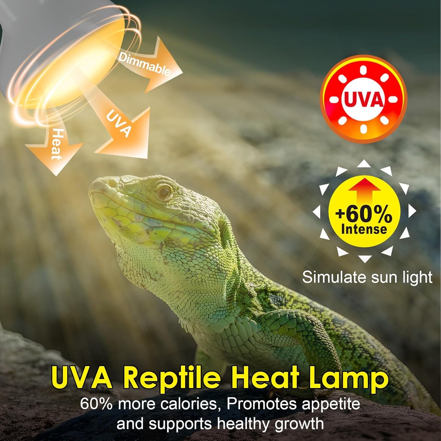 MIXJOY 2Pack Reptile Heat Lamp Bulbs 75W, 60% Intense Heat Bulb UVA Daylight Basking Spot Bulb for Reptiles, Turtle, Lizard, Tortoise, Bearded Dragon, Gecko, Chicken
