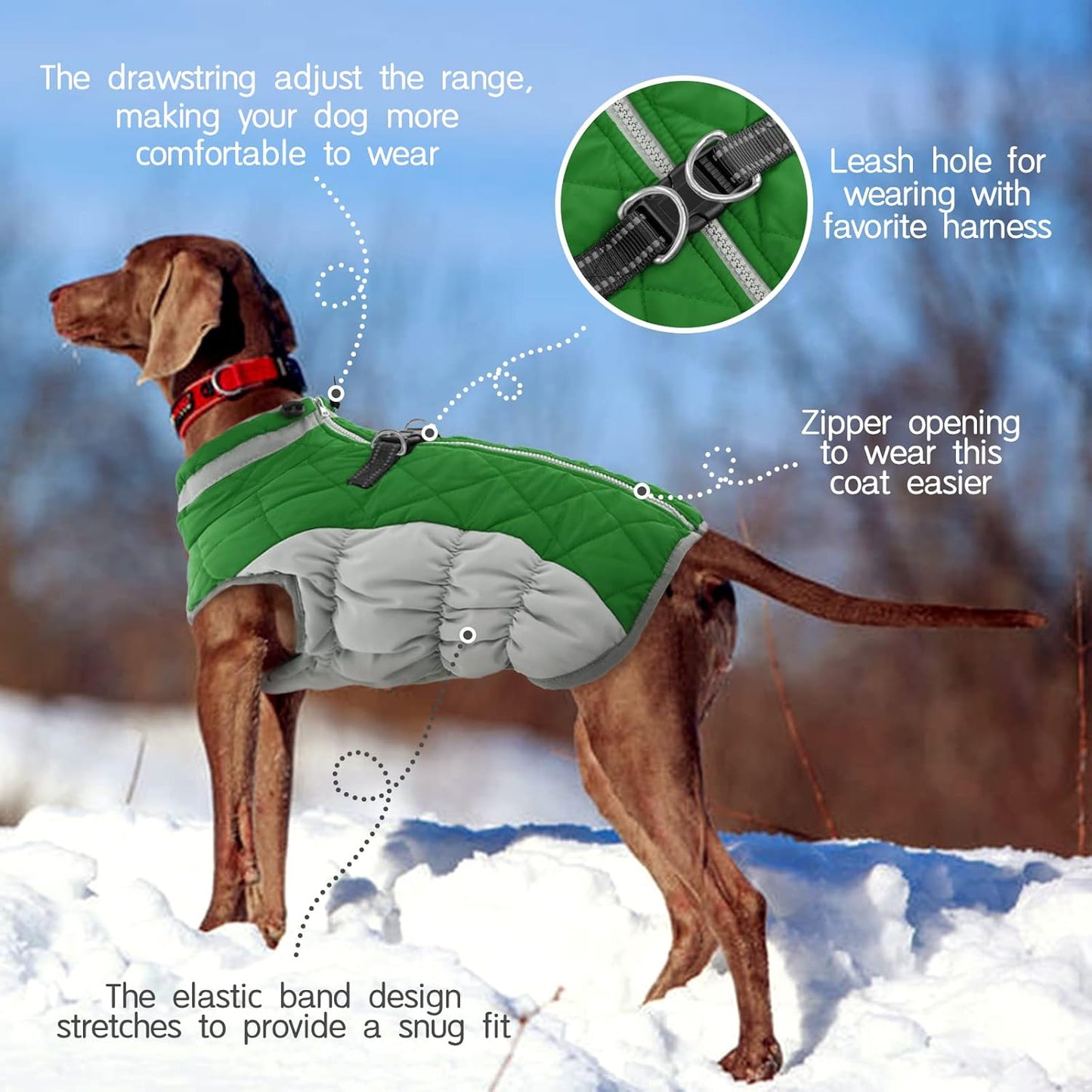 FUAMEY Dog Coat for Small Dogs,Waterproof Dog Winter Jacket with Harness Built in Puppy Cold Weather Coats Reflective Pet Vest with Zipper Warm Fleece Dogs Snowsuit Windproof Green S
