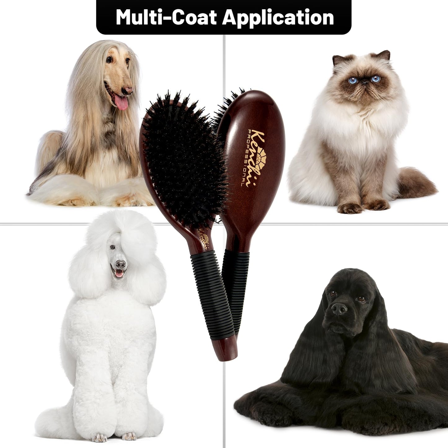 Kenchii Boar and Nylon Bristle Dog/Cat Grooming Brush with One-Piece Maple Body-Choose Size Large, Small (Large)